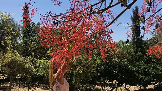 漂亮女人摸了摸树上的红花视频素材