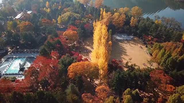 韩国奈美岛秋季鸟瞰图视频素材