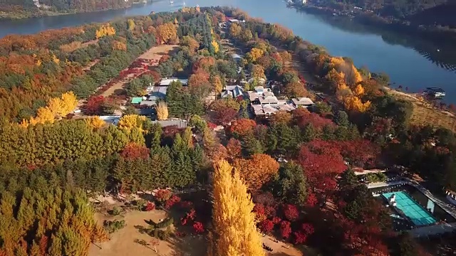 韩国奈美岛秋季鸟瞰图视频素材