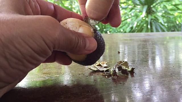 手剥萨拉卡扎拉卡视频素材