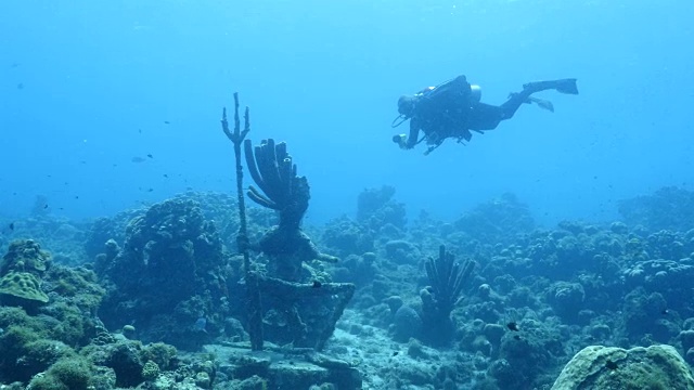 潜水员在加勒比海库拉索岛周围的珊瑚礁上，海王星在前景中视频素材