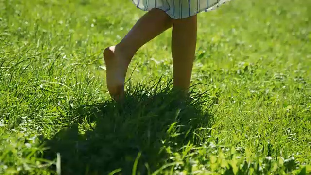 特写镜头的女人的腿走在绿色的夏季草地上。她穿着时髦的衣服，拿着手机。快乐的夏天。视频素材