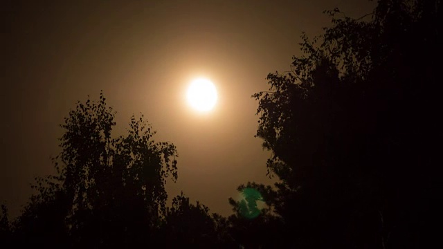 满月在夜空中穿过乌云和树木。间隔拍摄视频素材