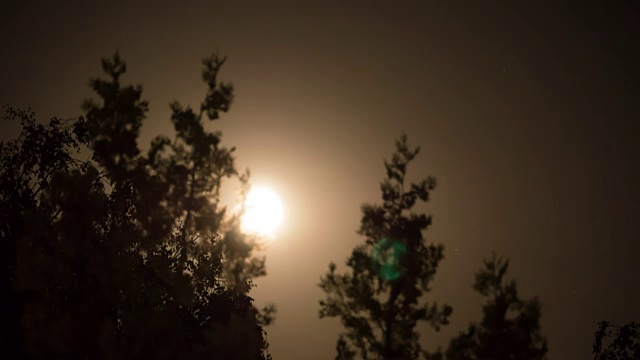 满月在夜空中穿过乌云和树木。间隔拍摄视频素材