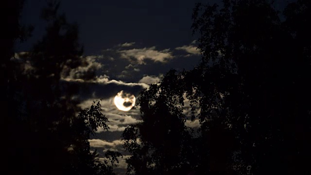 满月在夜空中穿过乌云和树木。间隔拍摄视频素材