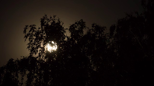 满月在夜空中穿过乌云和树木。间隔拍摄视频素材