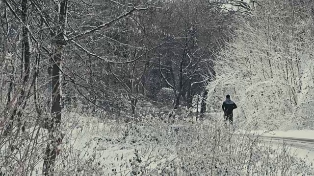 森林雪道上的慢跑者视频素材