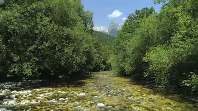 慢镜头:清澈的河水流过绿色的山谷视频素材