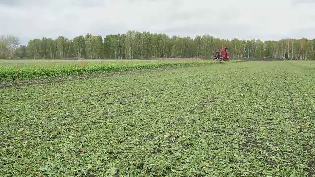 秋末阳光明媚的一天，荷兰田野里的甜菜机械化收割视频素材