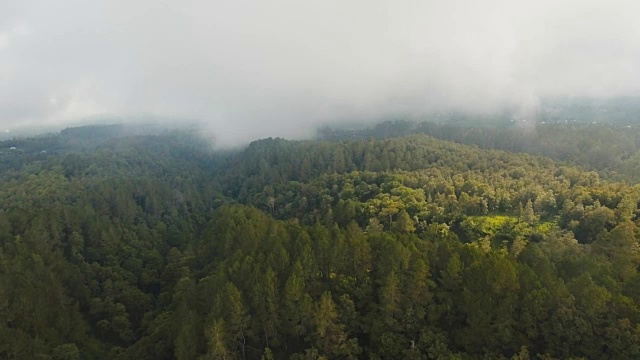 云中雨林，印度尼西亚巴厘岛视频素材