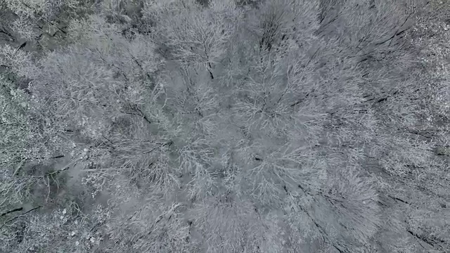 航拍:美丽的冰雪公园视频素材