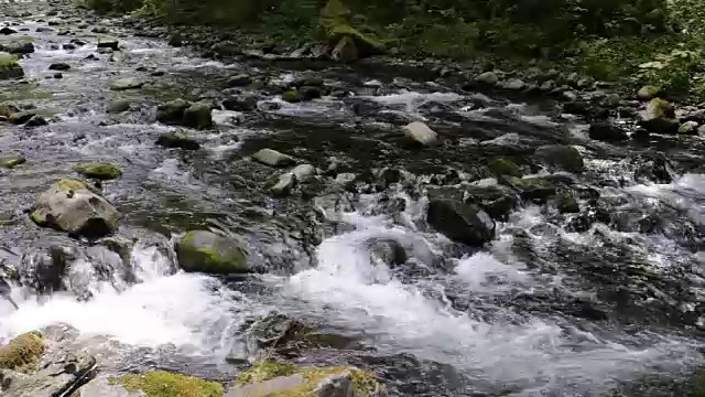 俄勒冈州波特兰市附近哥伦比亚河峡谷的坦纳河中部视频素材