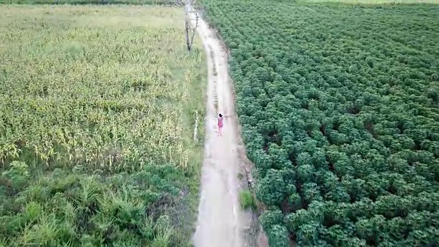 亚洲女孩跑在田野，泰国农村视频素材