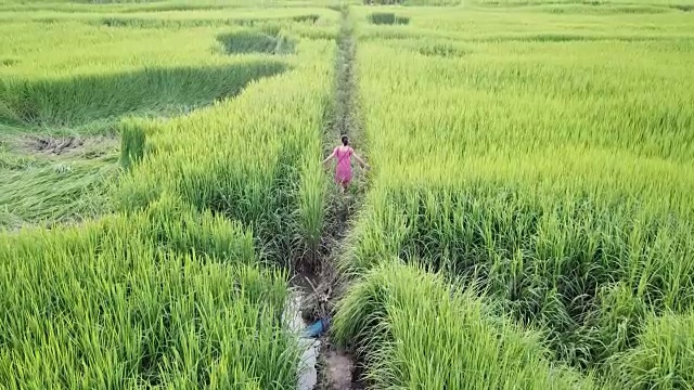 亚洲女孩走在稻田和享受水稻植物视频素材