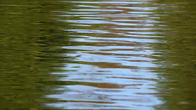 水面上快速流动的彩色涟漪视频素材