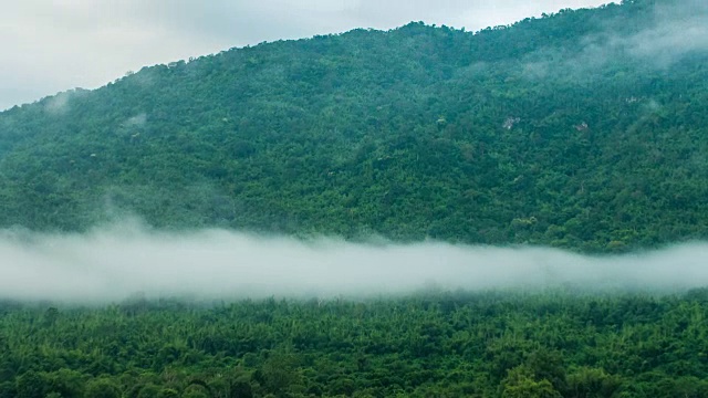 雾流动在热带树木在寒冷的温度在山顶，延时视频视频素材