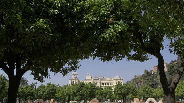 从Jardines de Pedro Luis Alonso，马拉加，安达卢西亚，西班牙，欧洲的市政厅宫殿视频素材