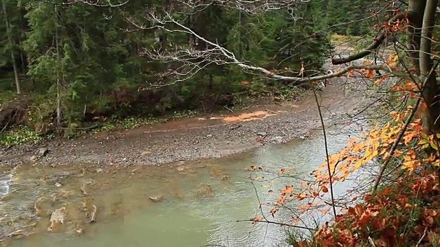 喀尔巴阡山脉森林中的一条多山河流视频素材