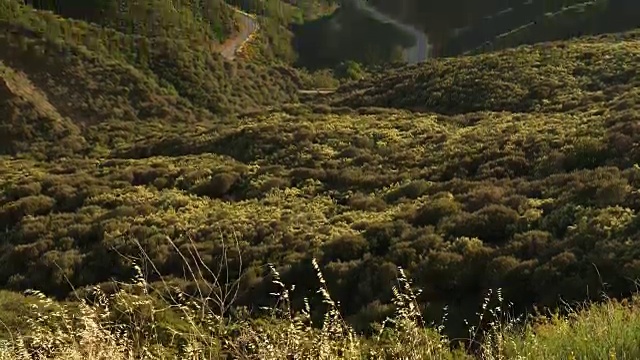 美国加州欧康的丘陵和山谷视频素材