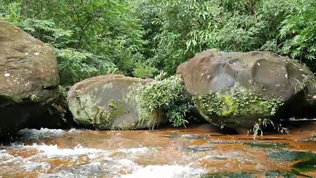 绿林溪流视频素材