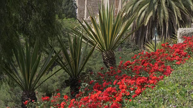 从Jardines de Pedro Luis Alonso, Malaga, Andalucia，西班牙，欧洲看到的阿尔卡扎巴墙视频素材