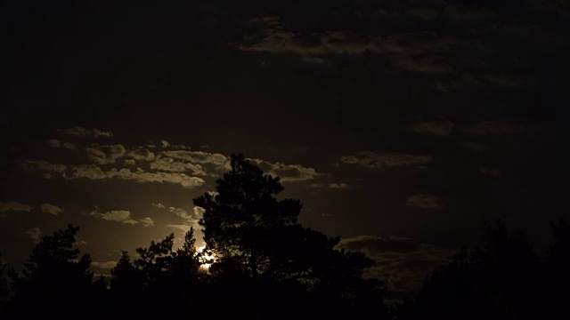 满月在夜空中穿过乌云和树木。间隔拍摄视频素材