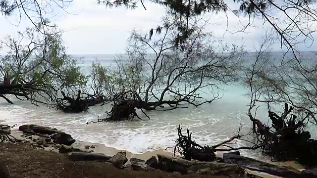 温柔地抚摸着热带岛屿的海岸视频下载