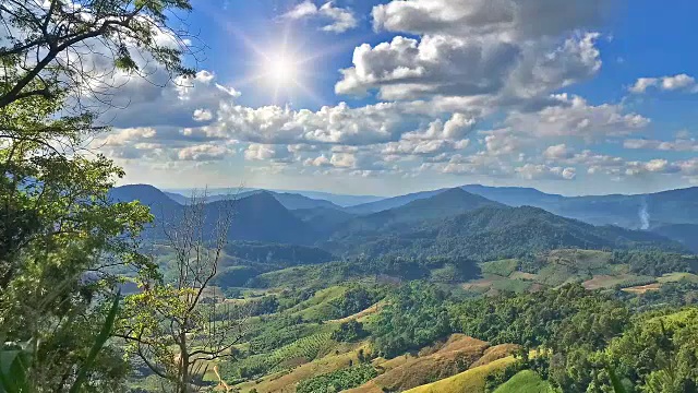 太阳越过森林景观时间流逝。云和树在风中移动视频素材