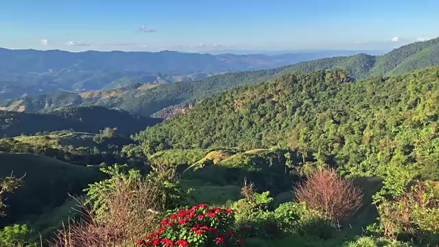 太阳越过森林景观时间流逝。云和树在风中移动视频素材