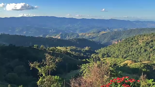 太阳越过森林景观时间流逝。云和树在风中移动视频素材