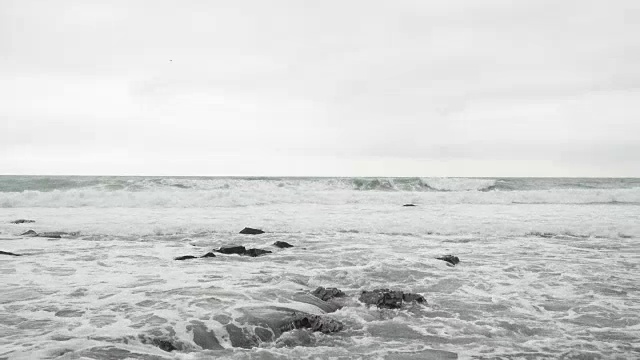 海浪和海鸥视频素材