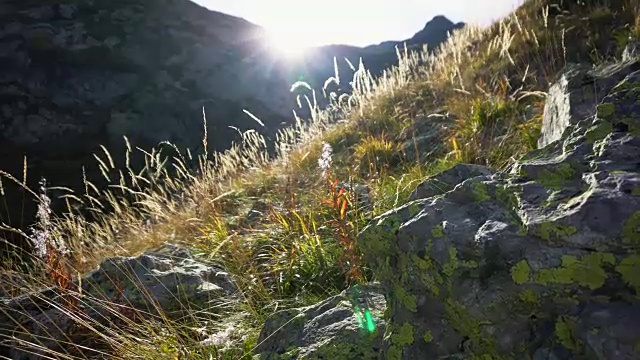 有石头和草的落基山脉。秋天在山和阳光视频素材