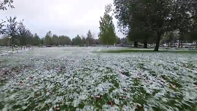 公园里下了第一场雪视频素材