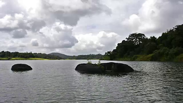 水面景观视频素材