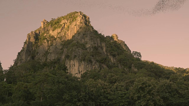 日落时蝙蝠从山洞里飞出来视频素材