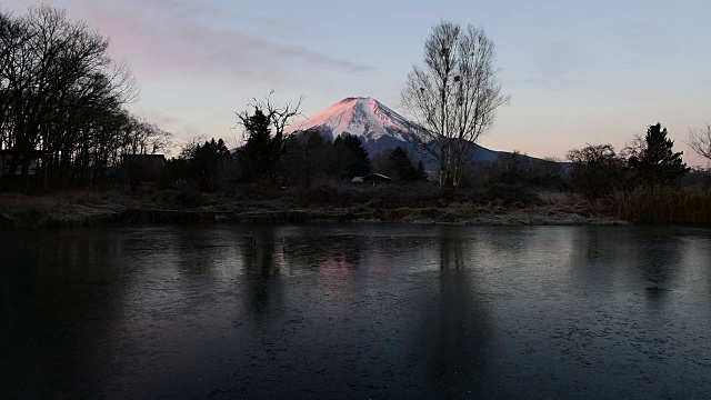 富士山在早晨变成粉红色视频素材