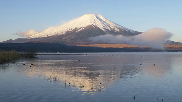 早晨富士山上的山中湖视频素材