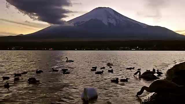 日落时的富士山天鹅和鸭子视频素材