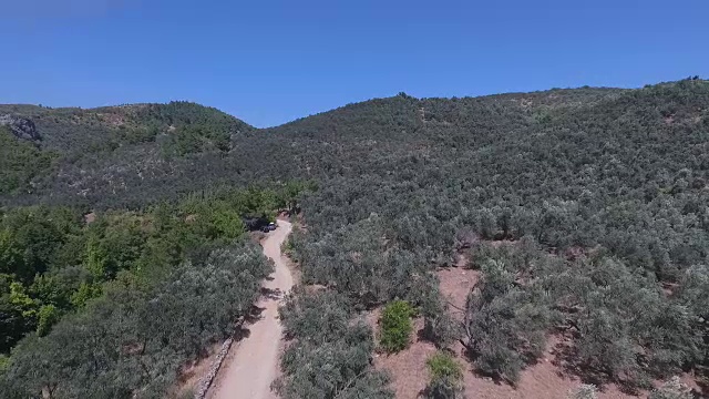 土耳其的艾达山-卡兹达格里。橄榄树的树枝和树叶在风中摆动。橄榄树在风中摇曳。高清1080p无人机镜头视频素材