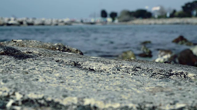 海滨城市视频下载