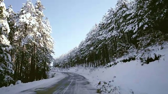 下雪的森林道路视频素材