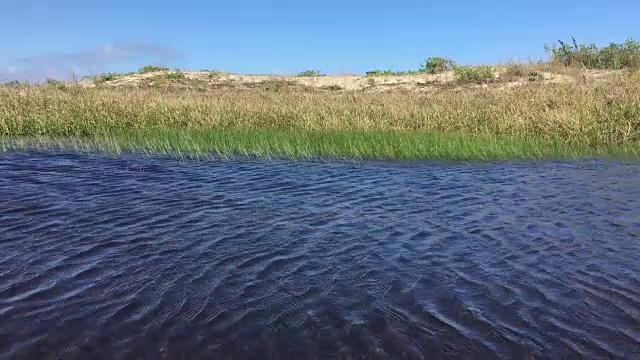 风吹起沙丘地区的水面和草视频素材