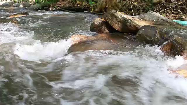 森林里干净的淡水。小山河。水在山。冬天森林里的河流。国家公园。青少年Tok皇家项目发展中心。清迈。泰国视频素材