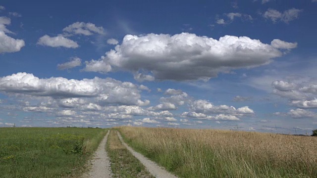 穿过玉米地的道路和蓝天上的云朵视频素材