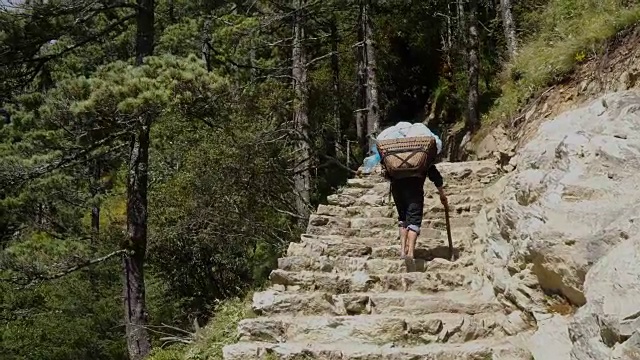 波特正在喜马拉雅山上搬运货物视频素材