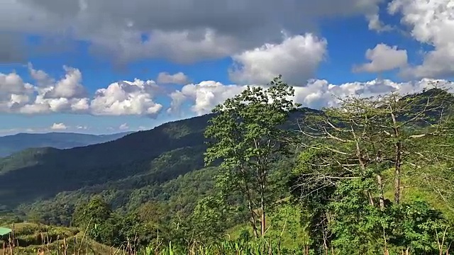 太阳越过森林景观时间流逝。云和树在风中移动视频素材