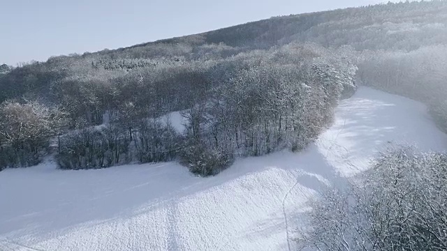 空中的冬季仙境与下奥地利雪林的嗡嗡声视频素材