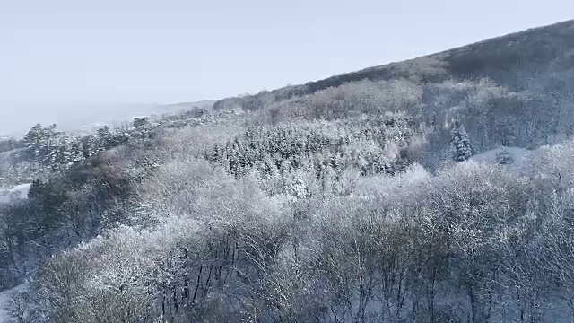 空中的冬季仙境与下奥地利雪林的嗡嗡声视频素材