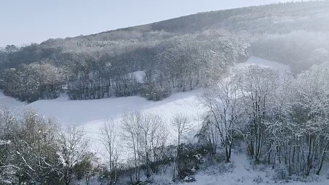 空中的冬季仙境与下奥地利雪林的嗡嗡声视频素材