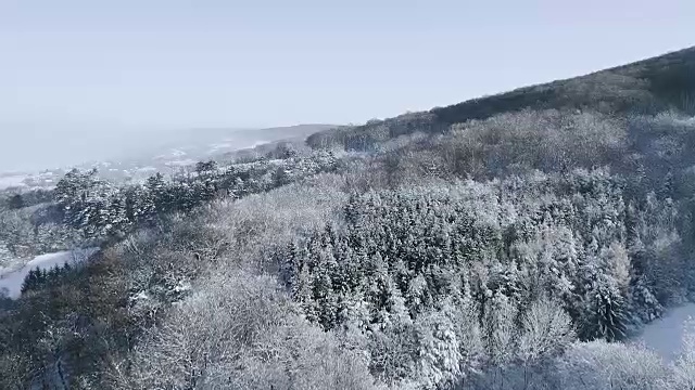 空中的冬季仙境与下奥地利雪林的嗡嗡声视频素材